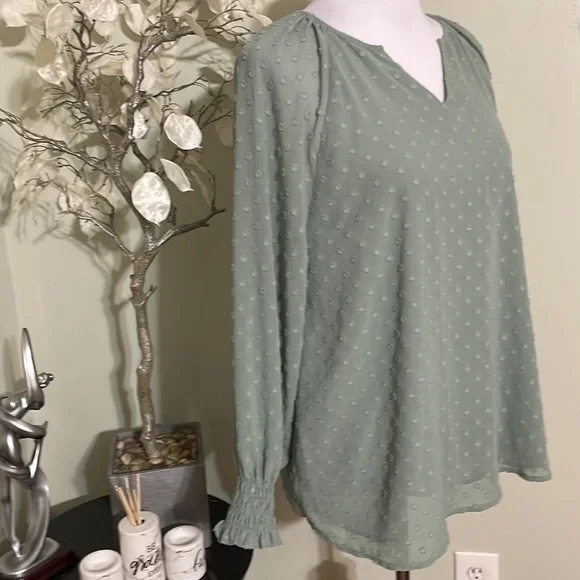 Chico's Sage Green Long Sleeve Blouse - Picture 3 of 9